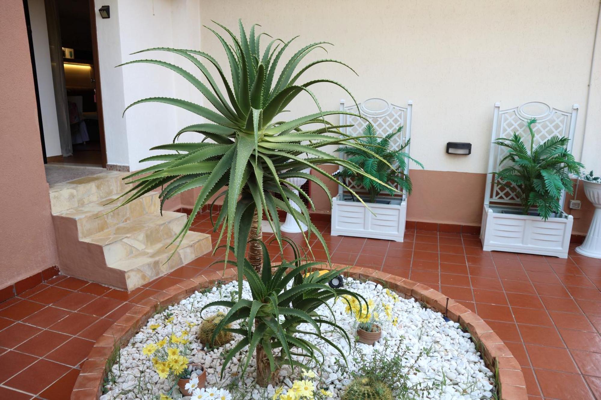 Apartamento Mondello House Lemon Palermo Exterior foto